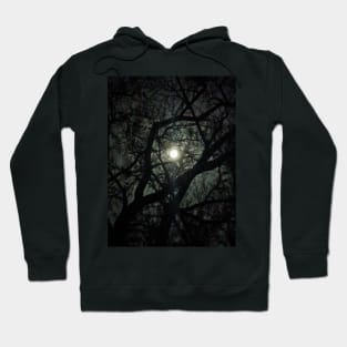 Spooky vines Hoodie